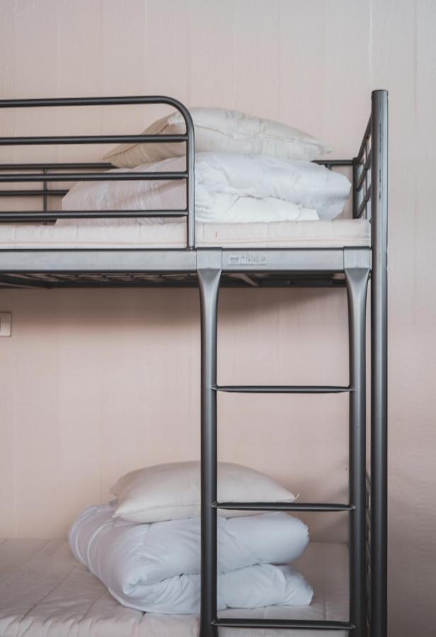 Northeast Guesthouse Bakkafjorthur Ngoại thất bức ảnh